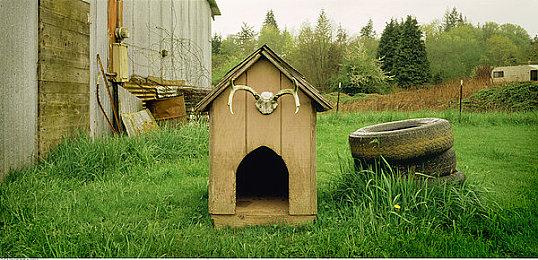 《守望先锋2》开发者访谈 梦幻联动《街霸6》始末